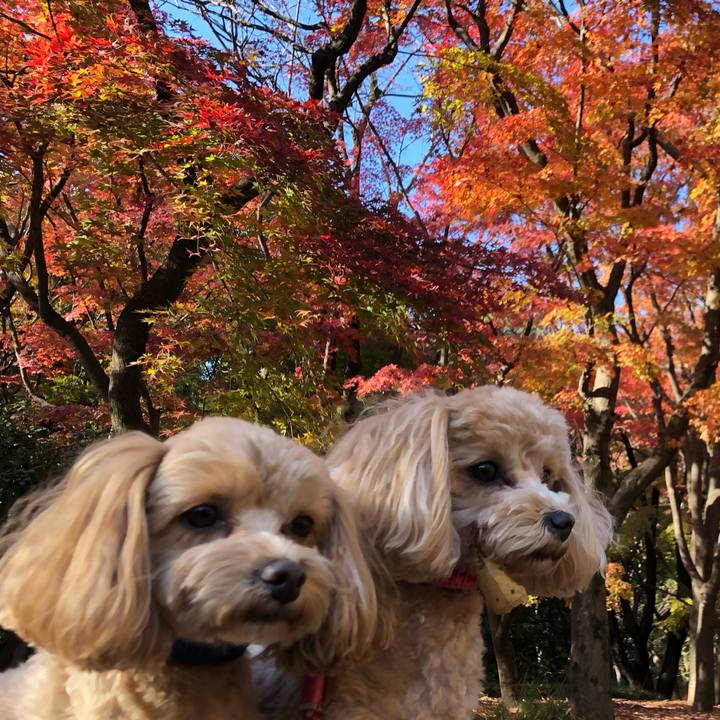 84733ce7 5835 4904 b3a6 58d9788a0208 1607264776952