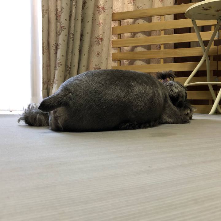 84737def 22eb 4e37 806b 882f2184f82c 1568429605196