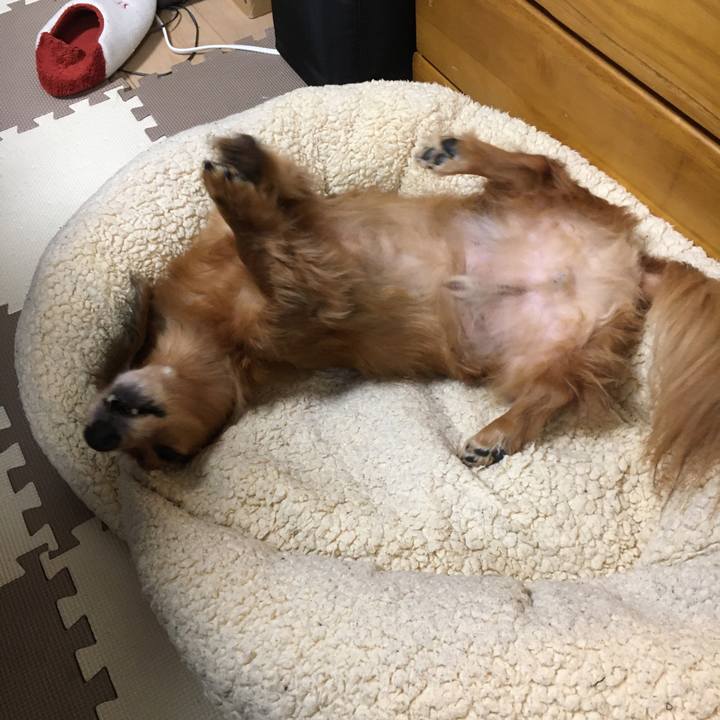 847386d7 c1e5 4fcd 889a 06de6b9c240f 1576679011238