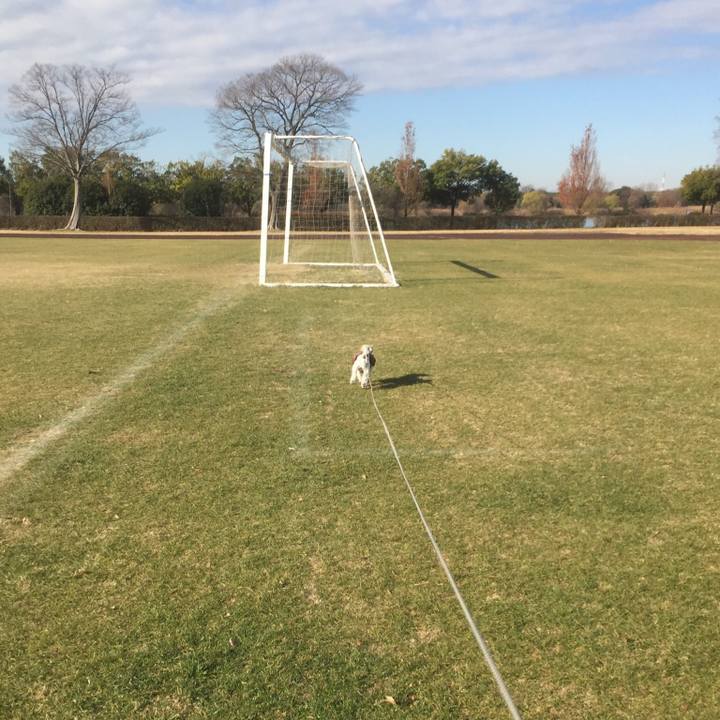 84739ad8 a58c 4444 8332 43e4b9409b4d 1513576408304