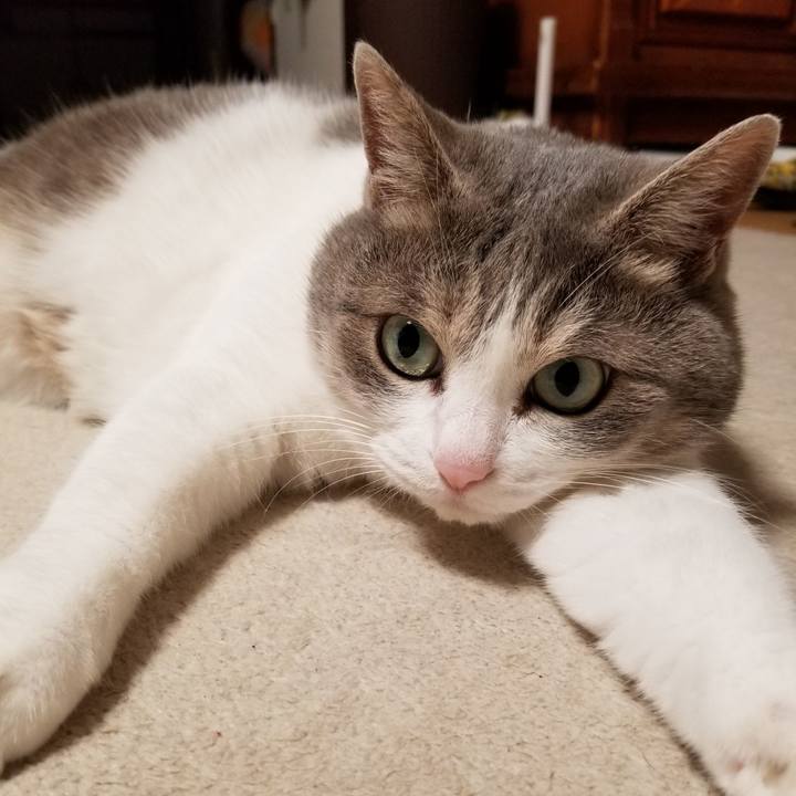 8473d433 3376 4854 b04c b3131bfa23d4 1655646404297