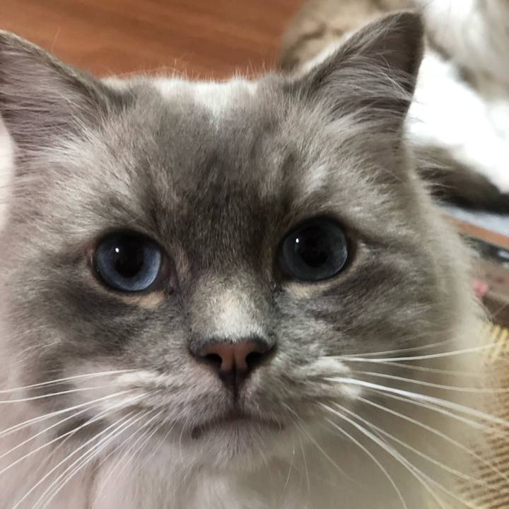 8473eeb1 0dc0 4f2d b6a0 6a6fd6dbca8e 1545218866880