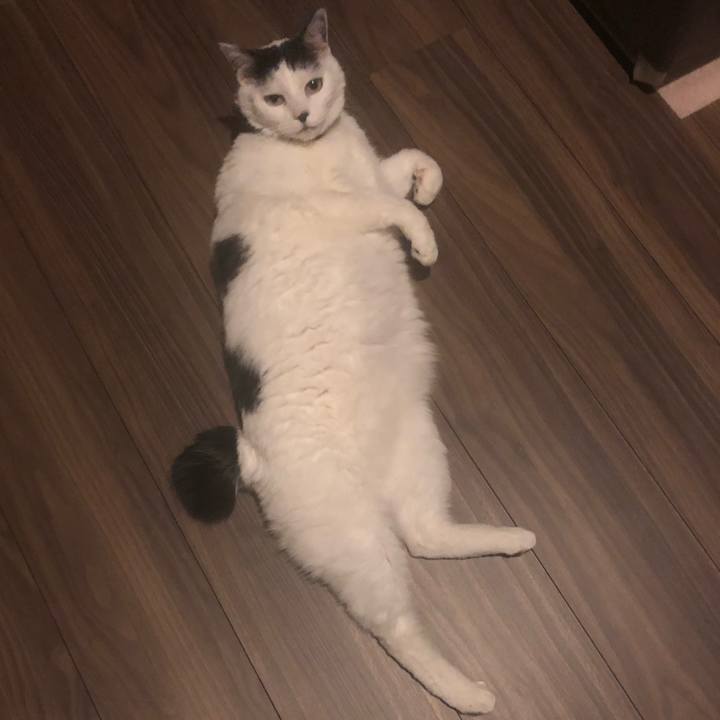 8473fbf5 36fc 49a7 8b6e c207b6ff1b46 1548671526434