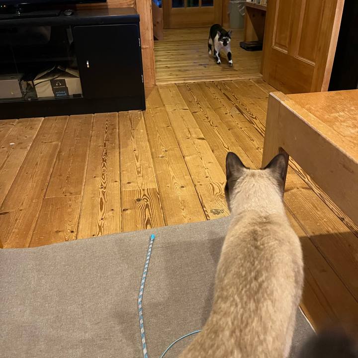 84742247 4998 42fa 9ade 690403446af4 1735544219471