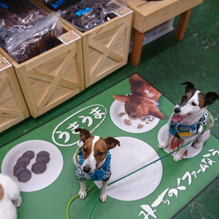 84742253 bcec 4465 a850 57045c111163 1564748259167