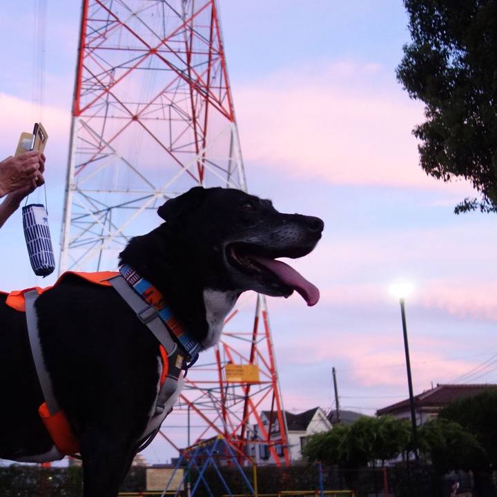 8474369c 5588 4c99 834b 29ccca2b558f 1752934106059