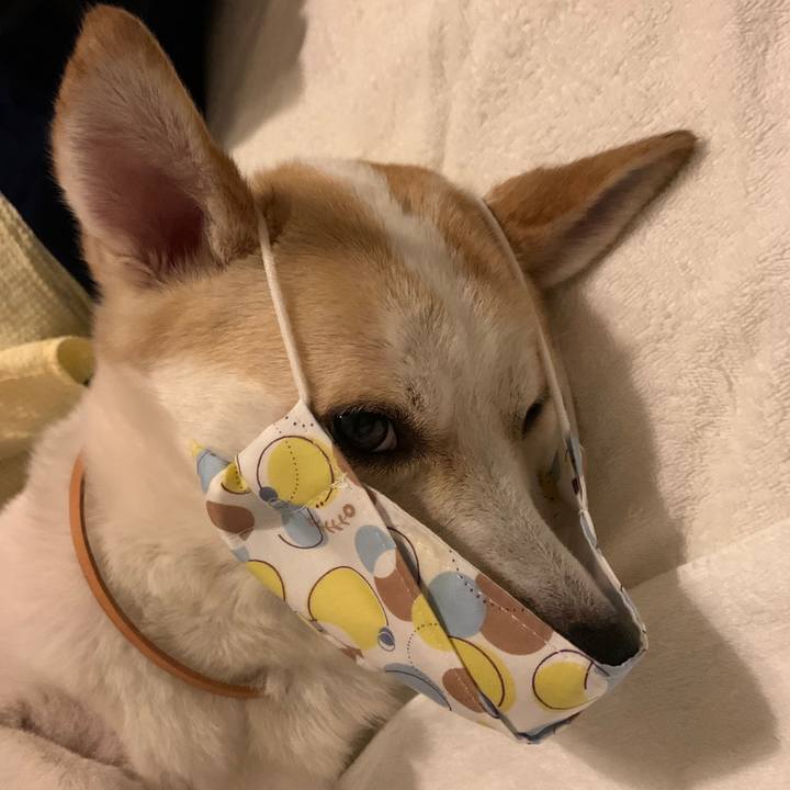 84746f2f 961c 4864 98bb a5d105be6cf2 1595479795166