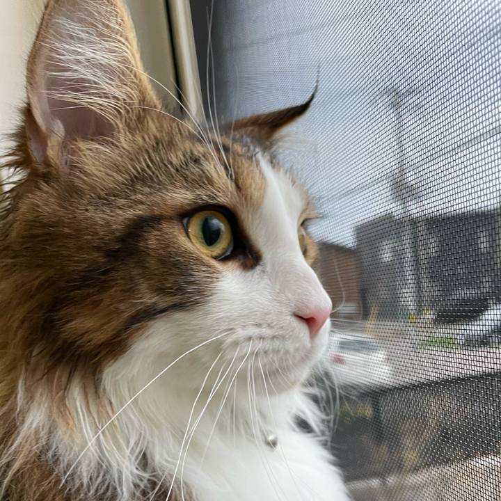 84749cb4 ed9e 4c11 a737 dc8a029eada3 1650573743686