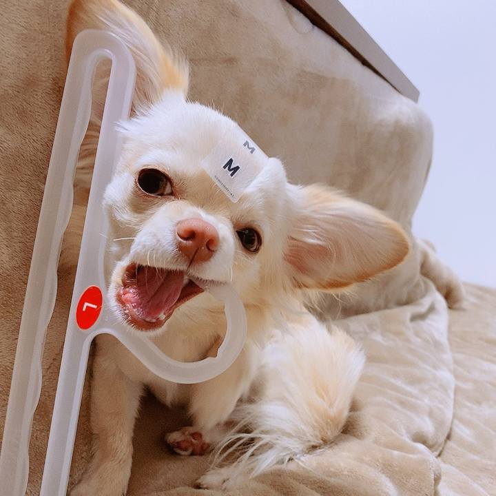 8474bd6b f0cc 41c3 9cb0 c281b191de61 1614569065915