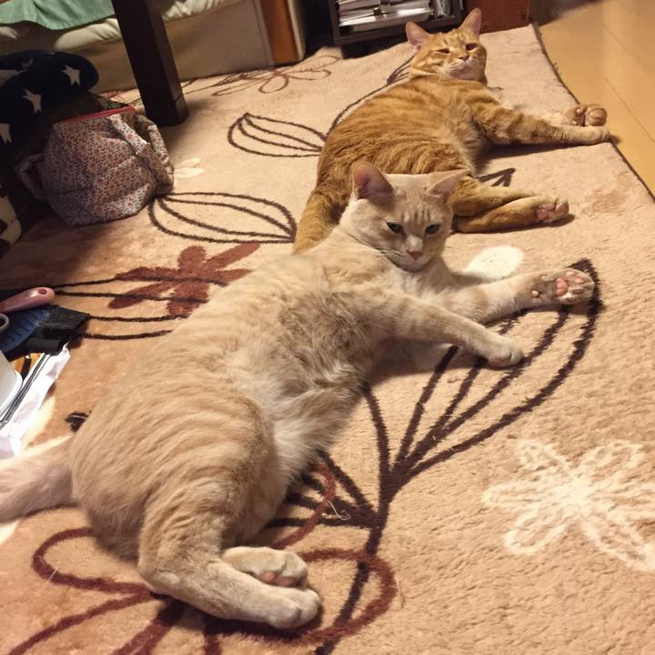 8474d2a6 bda7 4c17 b050 c710d64a8a70 1569846341970