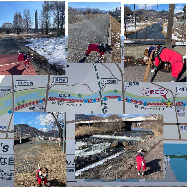 8474eda1 d7ac 4a4e 853f eb299ef20d7b 1739517375280