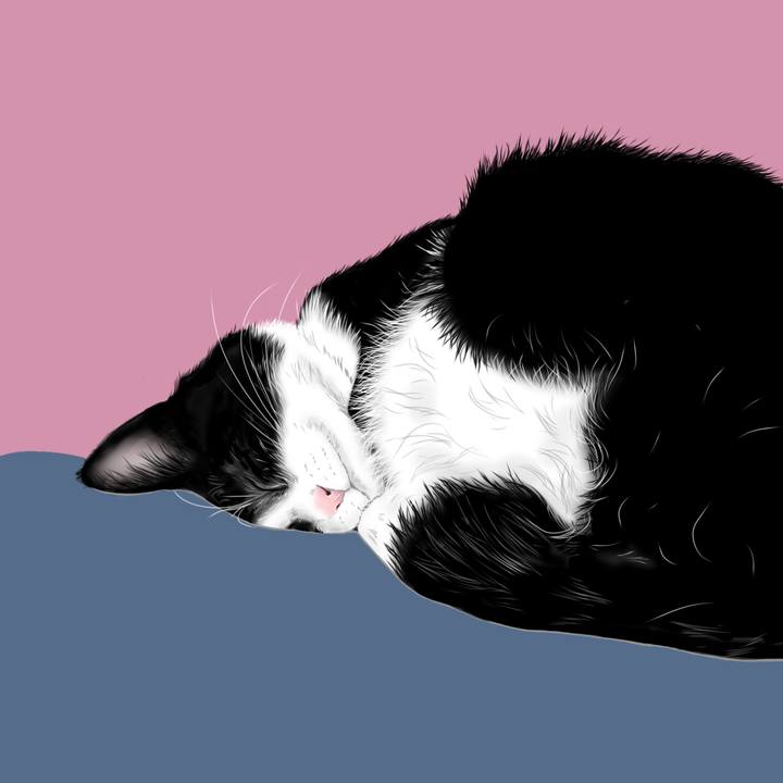 84754ae7 b190 4358 8434 094ae7a1aa56 1626532255967