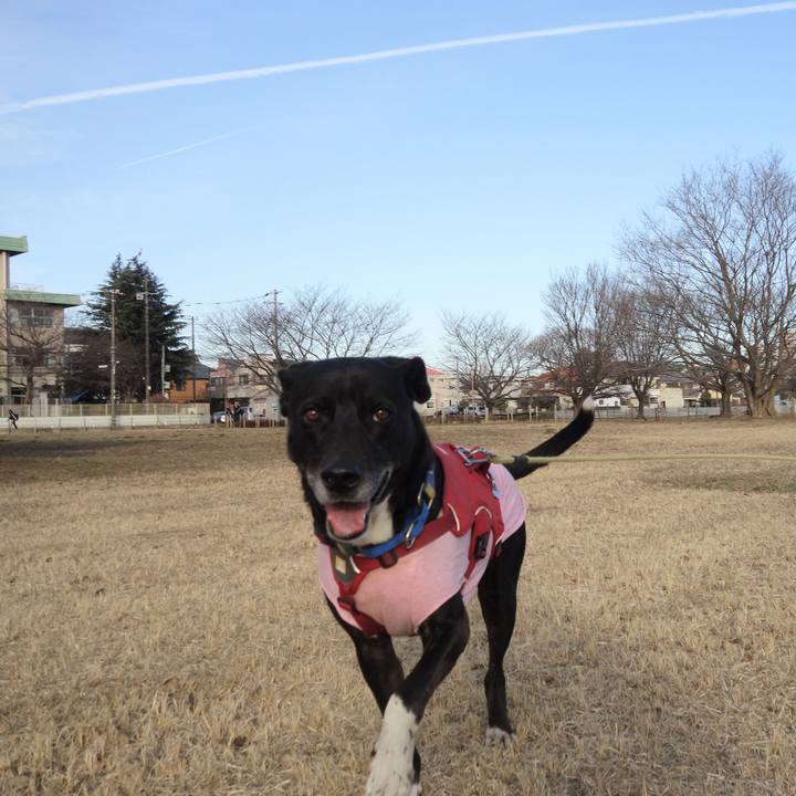 84757b8d 6dd6 446c 8892 7160f9725b3b 1675299792601