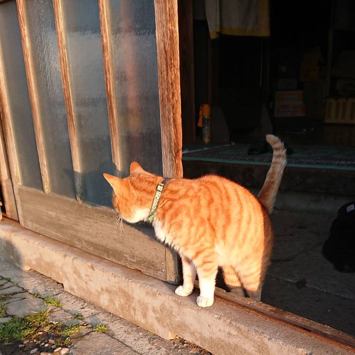 84758f9c 4de0 4069 810b 4e0d70296cdf 1583272484322