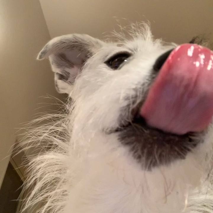 8475b00d ed39 4ff2 9da6 45413eb7e60d 1607509048072