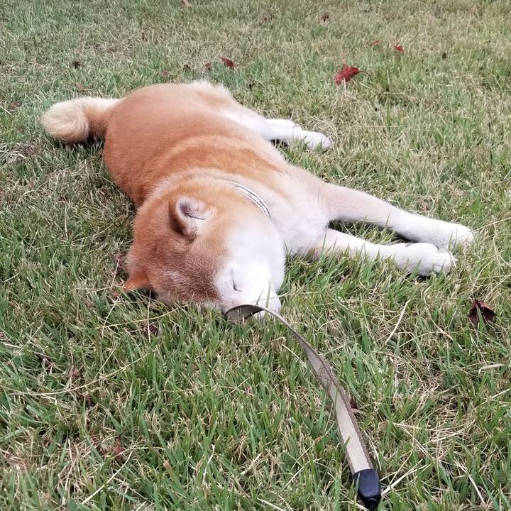 8475b602 e5ed 48b2 8ae0 10eb6eaca7db 1694936871647