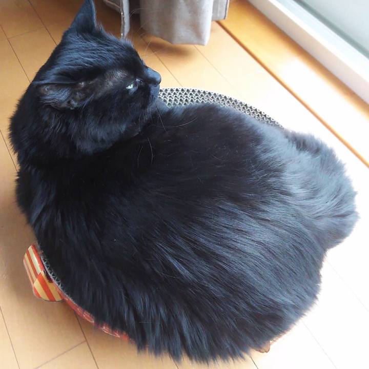 8475fdf5 d9dc 47a3 931a c4ac4e240888 1525575089496