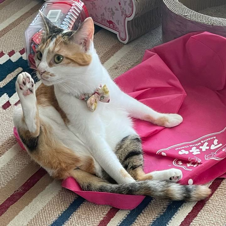 847638df 015f 4fae b1ba bccf11a740fa 1632356956348