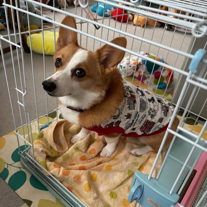 8476aa7f 9070 443a a9d5 9de50de0ee89 1760772181889