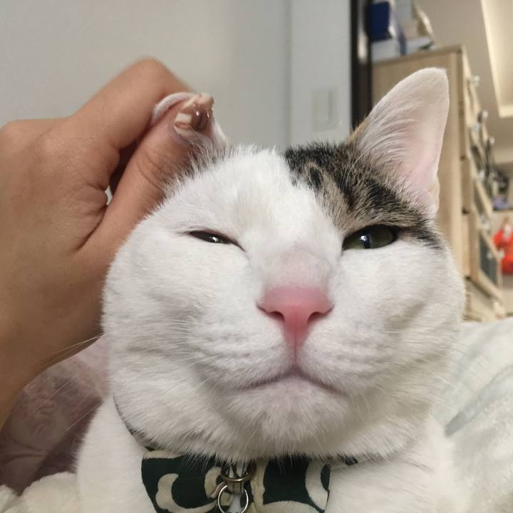 8476deb5 e60f 47fd b6d3 c37123fd18dd 1519446948028