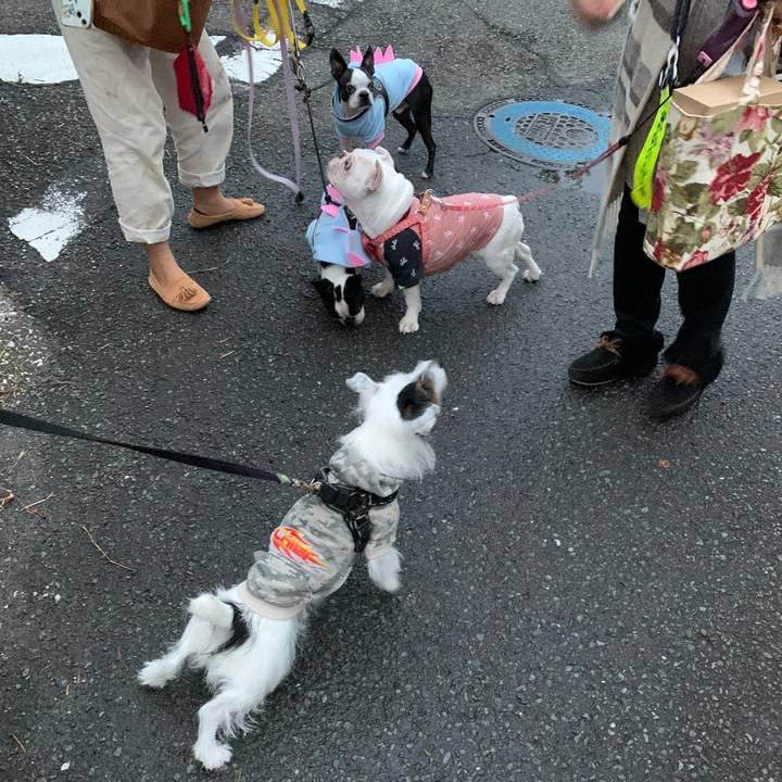 8476e6c2 a019 4f85 8c58 d2e7a42cdb05 1669448967812