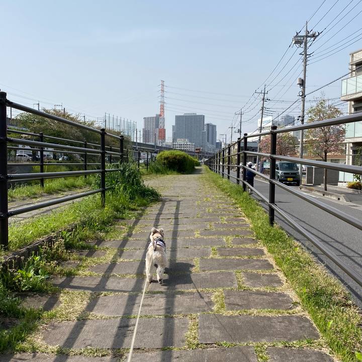 8476eb9c 194a 4904 bccc 7ccbfeb16a82 1745049214475