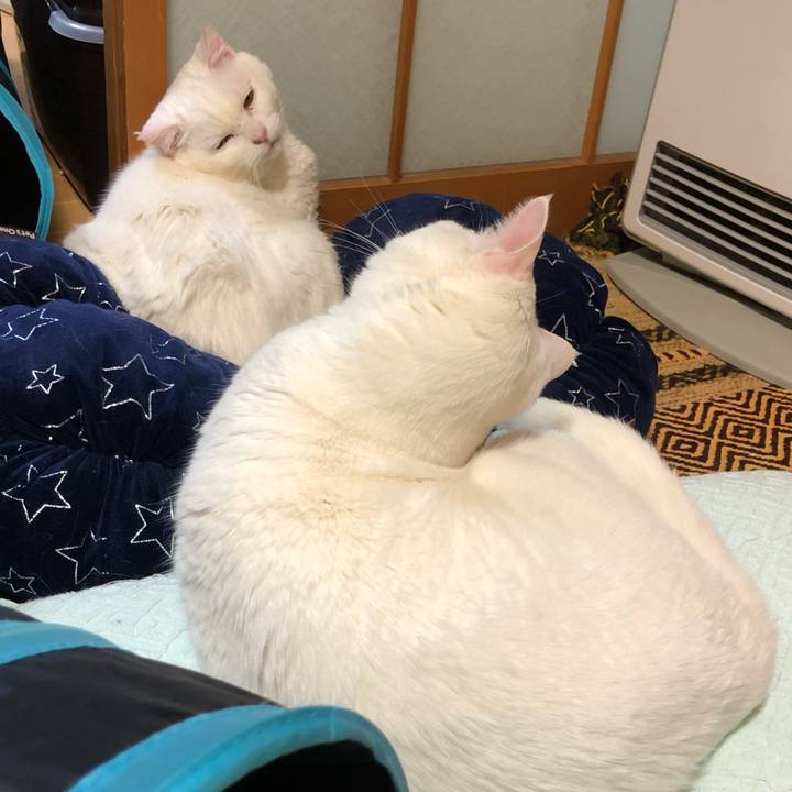 8476ed2d 23c7 44b2 a1fa 01e632492941 1552993878314