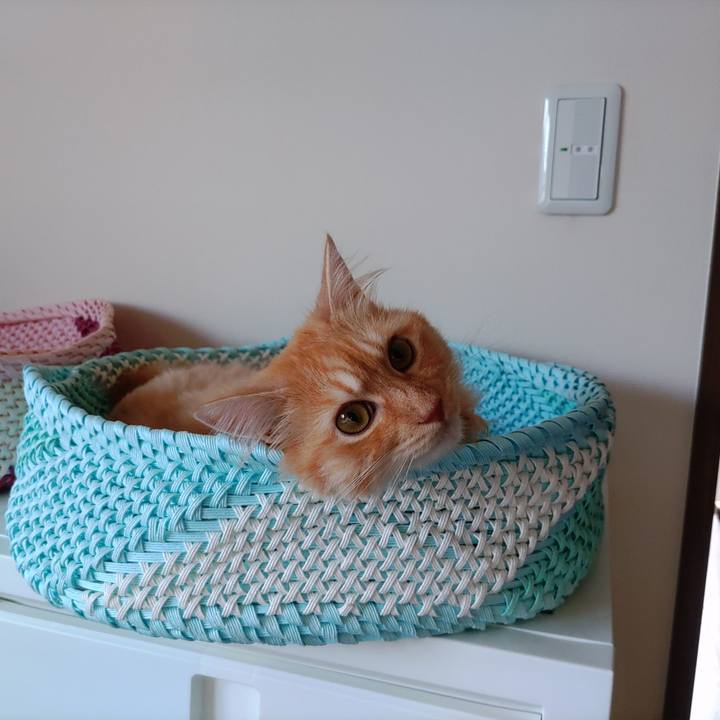 84771de8 d5ec 4c71 ae27 5799654318a0 1721436078296