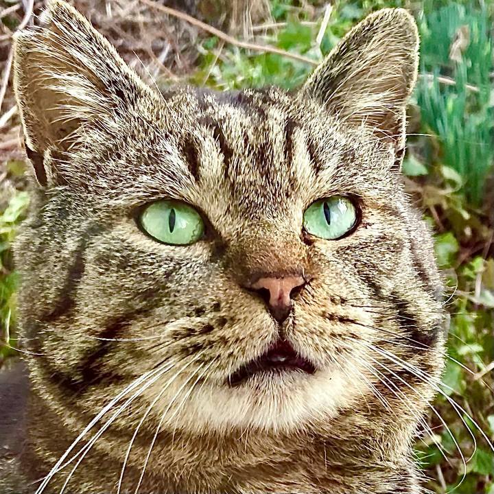 84772737 f652 4a26 bada c093fa115c52 1649817074990