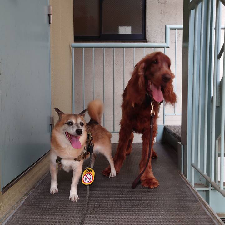 84773356 3656 4364 90e4 1d28a92d91ca 1627217342261