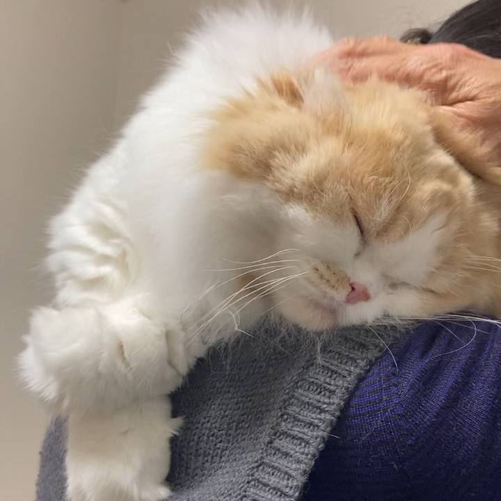 84773b87 93e4 4ee1 9ea4 cd779bc78e72 1608216971073