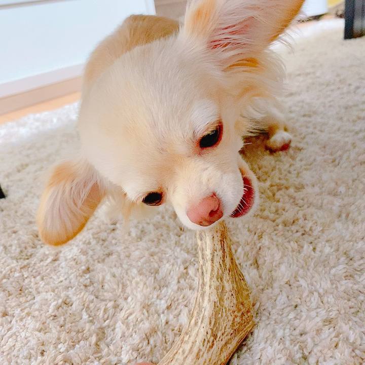 8477d617 48a1 47f9 9afd 4482ead61734 1621169624587