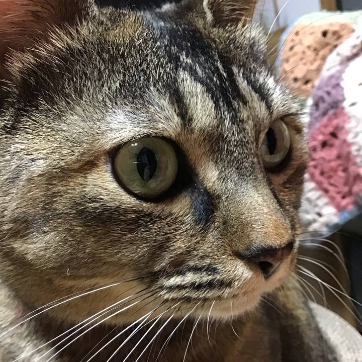 8477f47e 7736 462c a9db 5bf4fa30fd8a 1702895821677