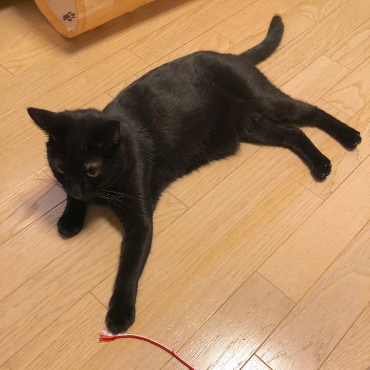 847805b0 25f0 4434 8137 920a6b175cae 1549287998831