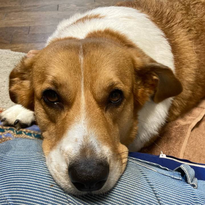 847826eb 88de 426e a284 32a9223b81a5 1721694492417