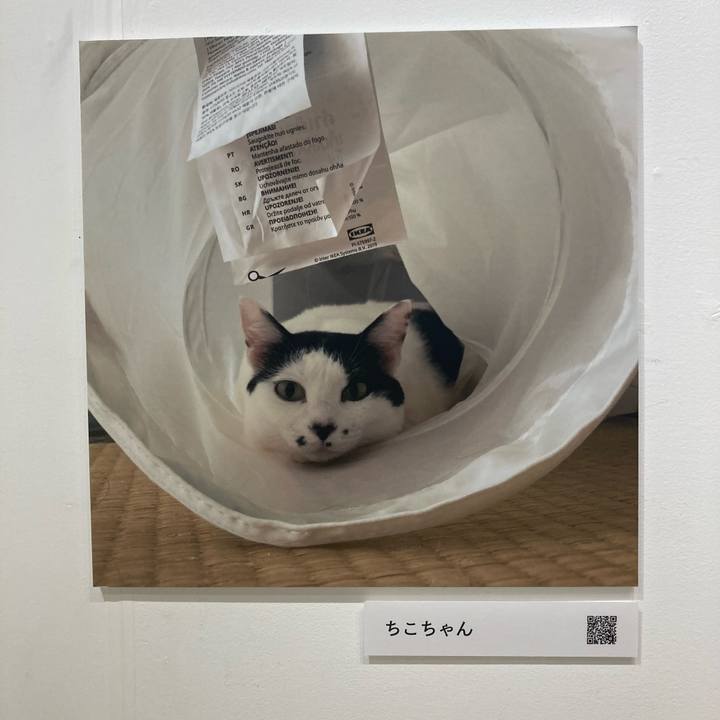 84786d34 8a2d 4e5f 921b 5593cfb0d9a7 1761889006605