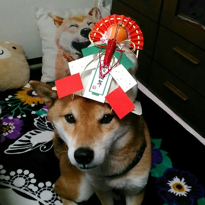 8478a5eb 81ac 4da6 9081 ca9c227275b3 1547181007189