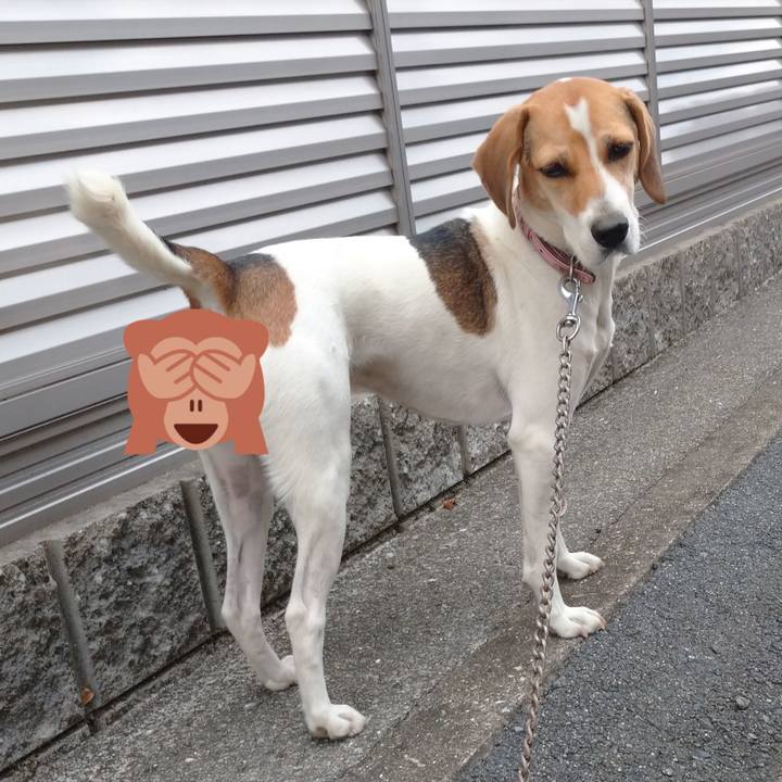 8478c20a f499 4cd1 a53b eaa9d0f0b695 1601266417927