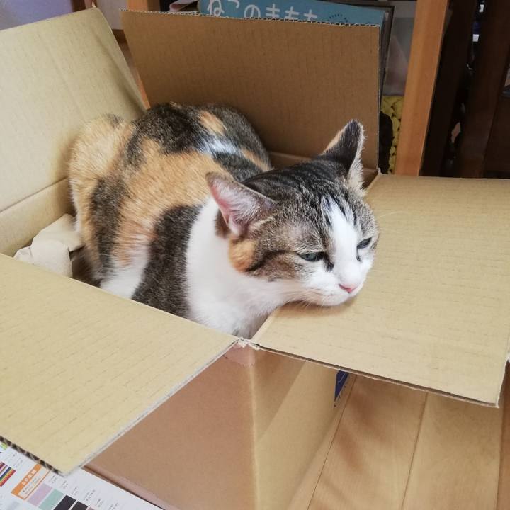 8478fb4e 7813 48bf 8e35 5d9920d5f9b8 1663999849944