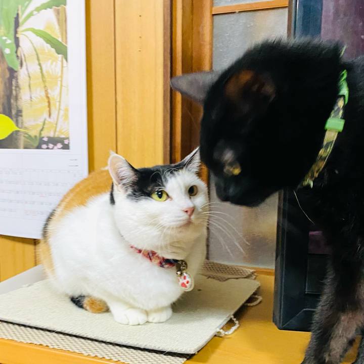 8479085f ef9f 4275 9480 543a0bf12e13 1736422237498