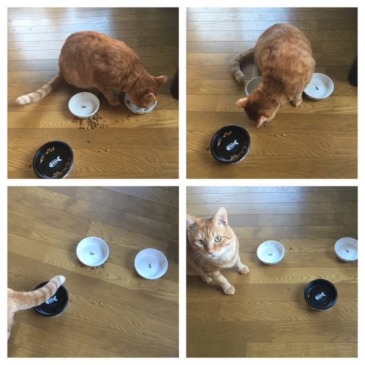 84790970 b823 4483 83e4 7cd2935b25ab 1542410081720