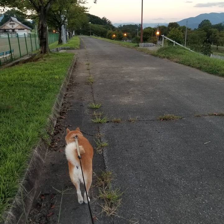 8479111c 6ebd 427a 8c0f 896636d1c007 1662368569591