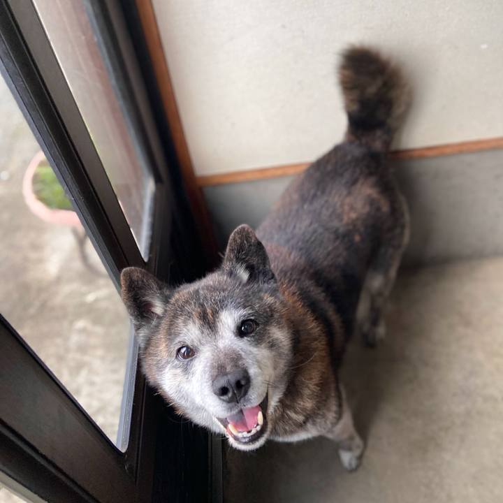 8479463d af6a 401d a3ef bfd15366749a 1709072955115