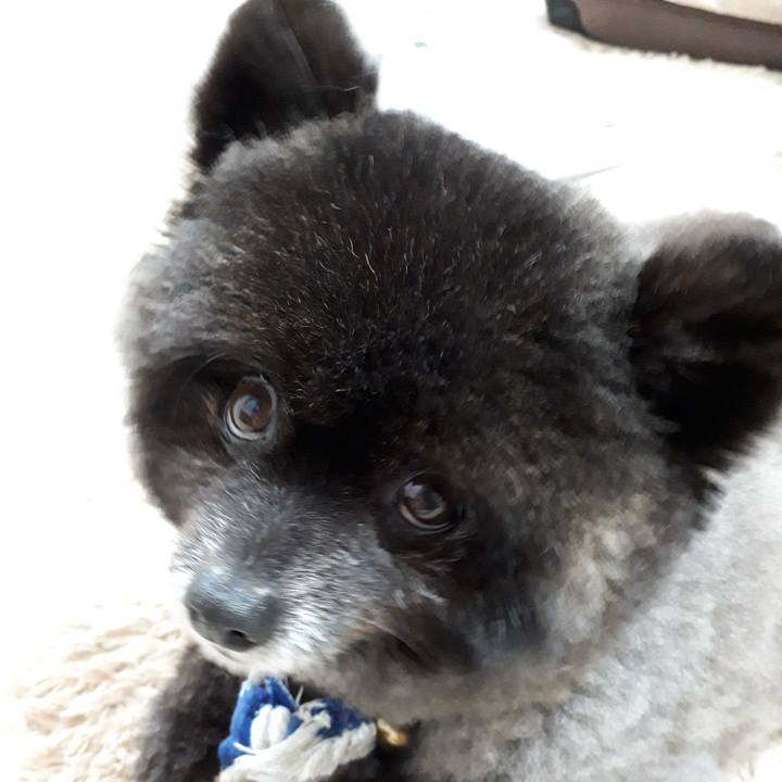 8479586e 059f 4c4f a100 5870b22e213e 1563202214222