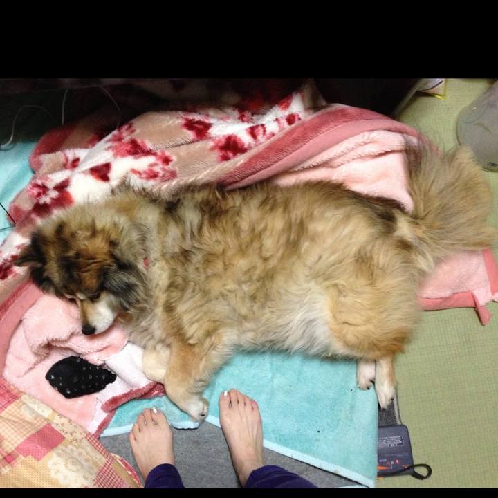 84797c2e 6cda 41cb b808 d9b3bf912d1d 1574329035614