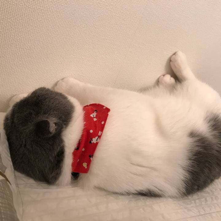 847985e0 4e69 44bb 99a5 39f5adf647f8 1512736931323