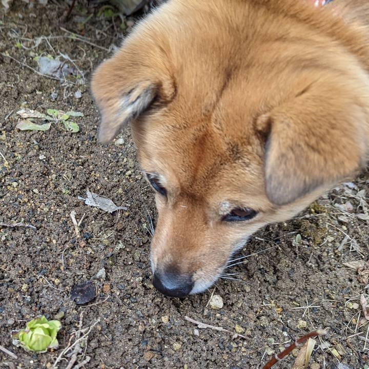 8479ff22 ff70 46ce 87af ec0528724a17 1645869623718