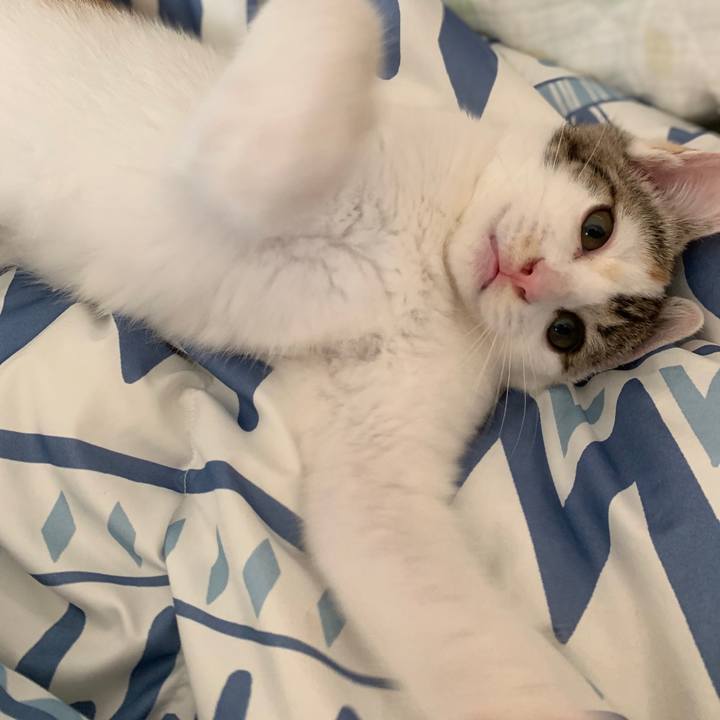 847a0041 9b77 4fb1 92dd 47e1134b7f8c 1594606820680