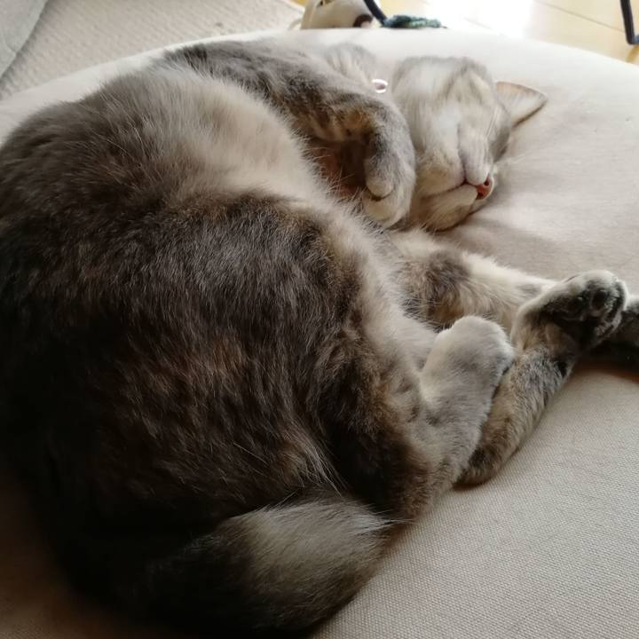 847a1001 3b02 4613 859d 0c3819ab484f 1525694408873