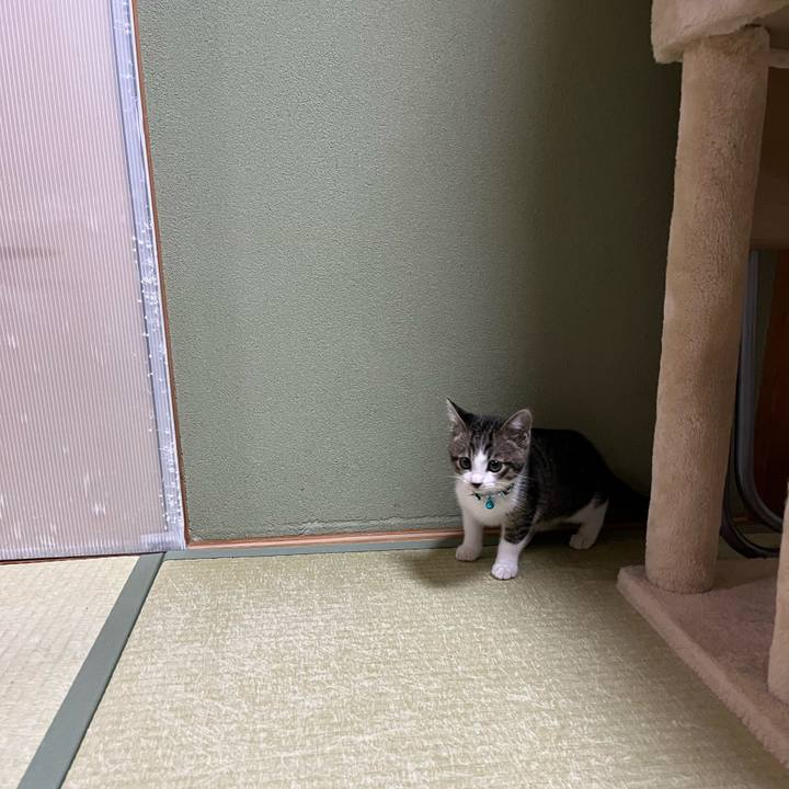 847a4e51 0b7c 4bf8 a313 e004528acbb8 1766802438485